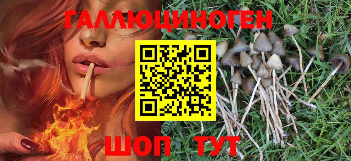 цена наркотик  Псилоцибиновые грибы мухоморы  Псилоцибиновые грибы Psilocybe  Вход с VPN  Ишим 
