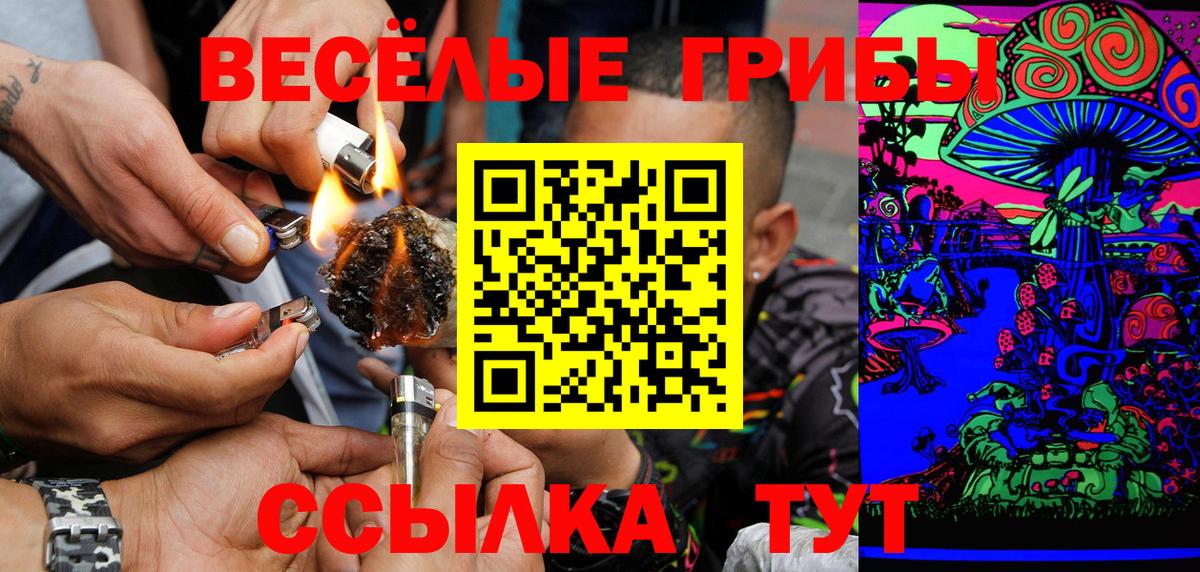 Псилоцибиновые грибы Cubensis Ишим